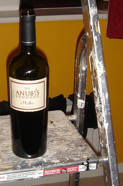 Anubis Malbec on some step ladders (for some reason)