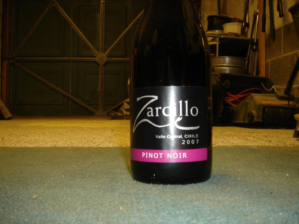The Zardillo of Oz? No, Chile actually.