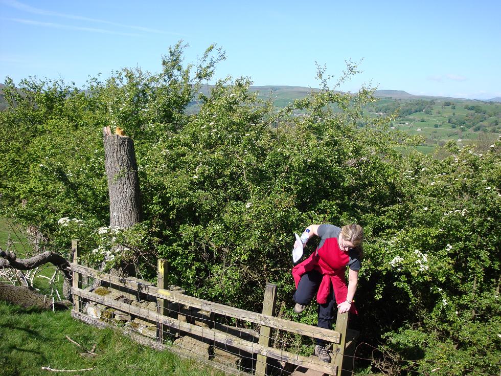 Mrs Wino negotiating a stile