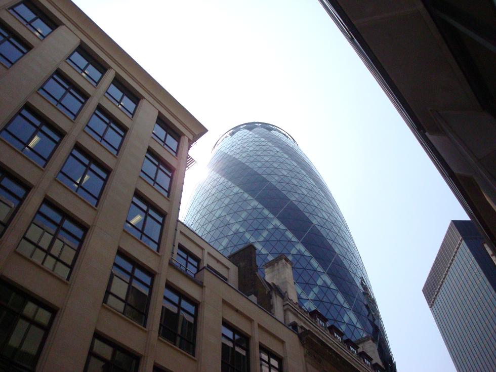 The gherkin